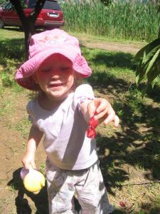 Evan Picking Cherries